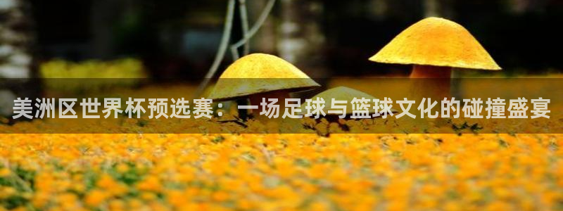 欧洲世界杯预选赛：美洲区世界杯预选赛：一场足球与篮球文化的碰撞盛宴