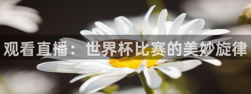 世界杯赛程表2026：观看直播：世界杯比赛的美妙旋律