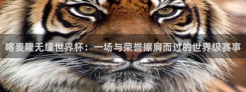 男足世界杯预选赛赛程：喀麦隆无缘世界杯：一场与荣誉擦肩而过的世界级赛事