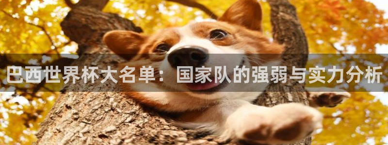 世界杯决赛圈球队：巴西世界杯大名单：国家队的强弱与实力分析