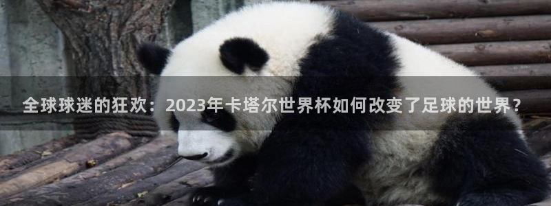 世界杯在线直播：全球球迷的狂欢：2023年卡塔尔世界杯如何改变了足球的世界？