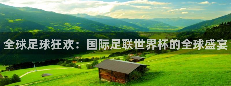 今年的世界杯：全球足球狂欢：国际足联世界杯的全球盛宴