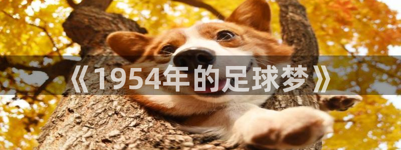 亚洲杯足球：《1954年的足球梦》