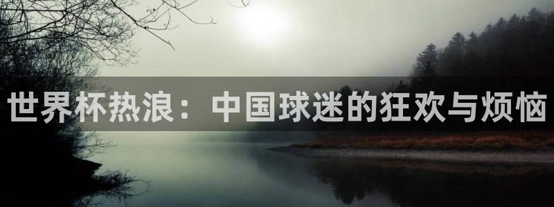 国际足联世界杯：世界杯热浪：中国球迷的狂欢与烦恼