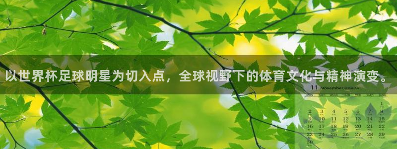 世界杯预选赛亚洲区积分榜：以世界杯足球明星为切入点，全球视野下的体育文化与精神演变。