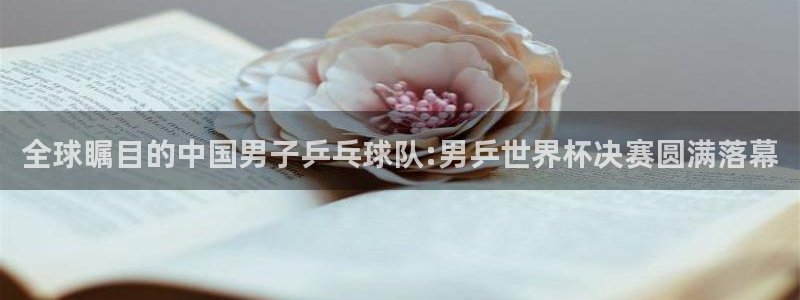 2026年世界杯赛程：全球瞩目的中国男子乒乓球队:男乒世界杯决赛圆满落幕