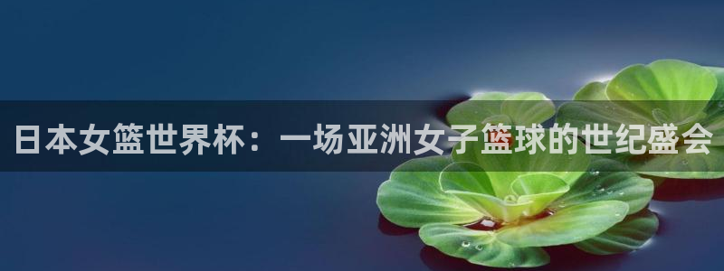 世界杯对阵图2026：日本女篮世界杯：一场亚洲女子篮球的世纪盛会