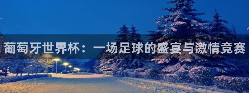 世界杯预选赛规则：葡萄牙世界杯：一场足球的盛宴与激情竞赛
