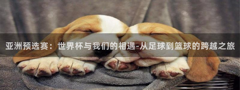 世预赛欧洲赛程表：亚洲预选赛：世界杯与我们的相遇-从足球到篮球的跨越之旅