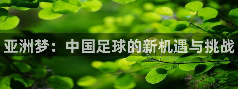 2026年世界杯赛程：亚洲梦：中国足球的新机遇与挑战