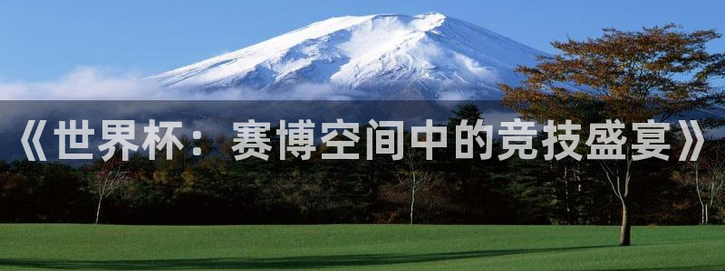 世界杯预选赛2026：《世界杯：赛博空间中的竞技盛宴》